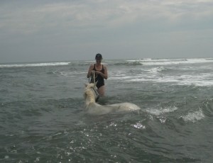 Our horses love the water!