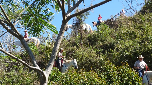 Partner with your horse on technical trails.