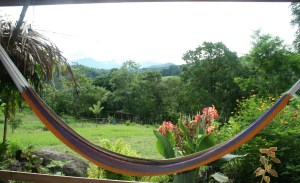 front page website pic