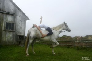 ariel yoga horse